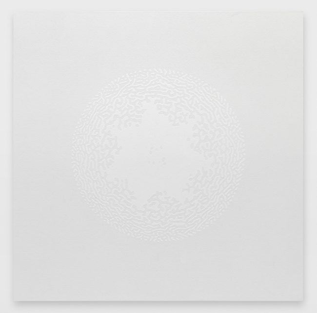 Céleste Boursier-Mougenot solidvideo mandalavirus 12, 2017 110 x 110 x 4 cm ©Annik Wetter Courtesy de l’artiste et de la Galerie Xippas / Courtesy of the artist and Xippas Paris