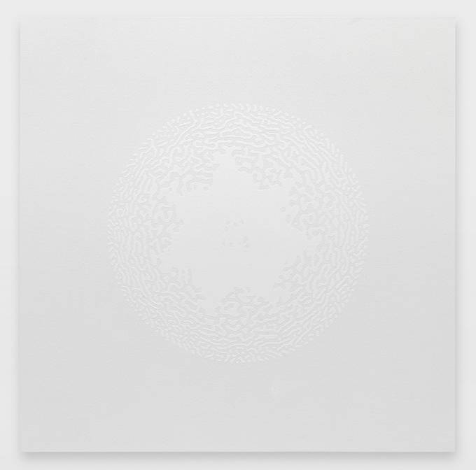 Céleste Boursier-Mougenot solidvideo mandalavirus 12, 2017 110 x 110 x 4 cm ©Annik Wetter Courtesy de l’artiste et de la Galerie Xippas / Courtesy of the artist and Xippas Paris